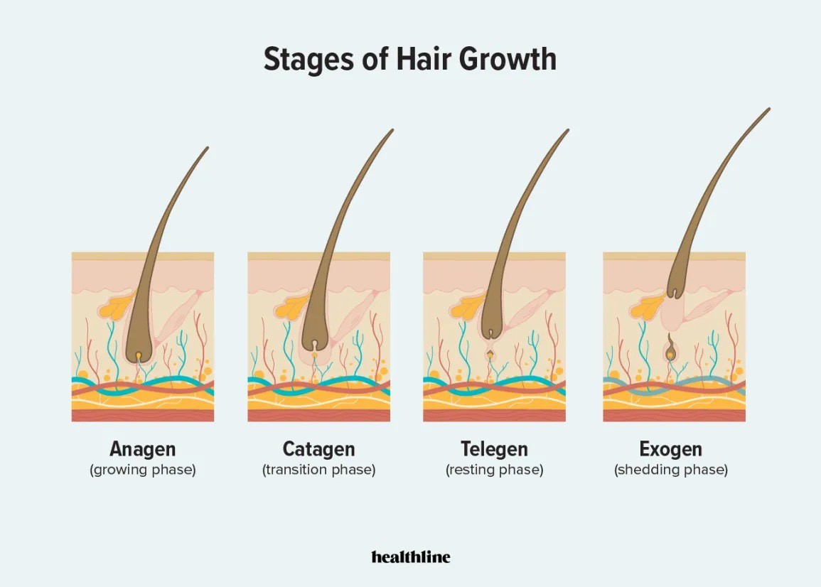 Почему плохо растут волосы и ресницы