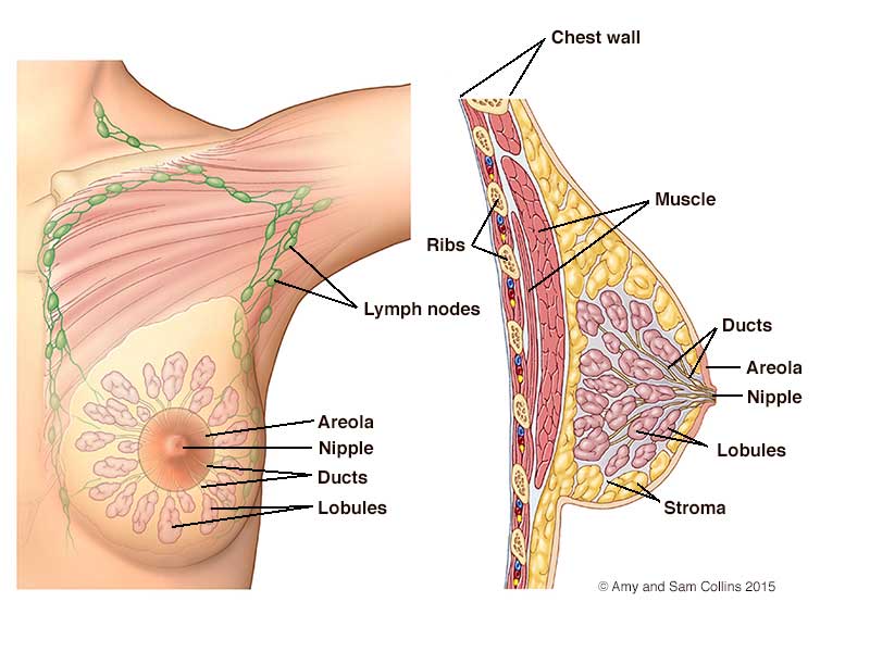 Breast Explant Thailand